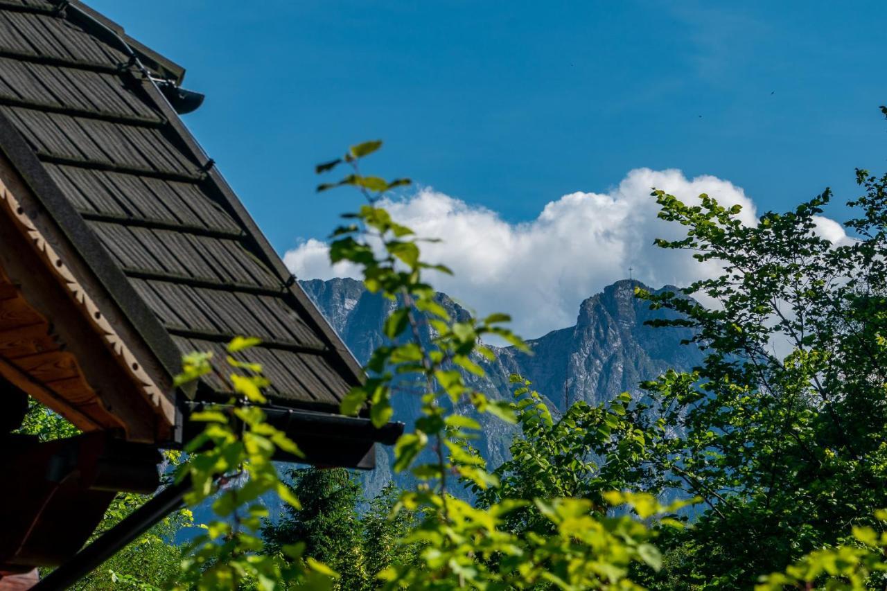 Villa Capra - Apartments Adult Only Zakopane Exterior photo